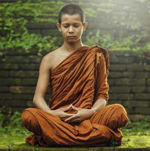 Buddha's Lehre